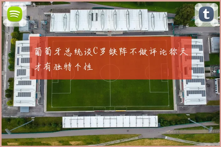 葡萄牙总统谈C罗缺阵不做评论称天才有独特个性