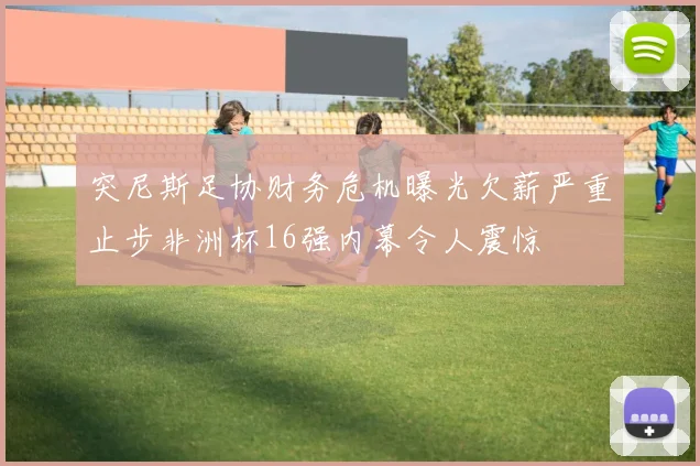 突尼斯足协财务危机曝光欠薪严重止步非洲杯16强内幕令人震惊