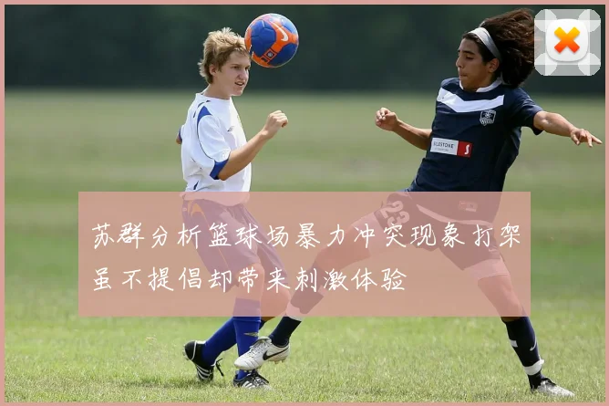 苏群分析篮球场暴力冲突现象打架虽不提倡却带来刺激体验