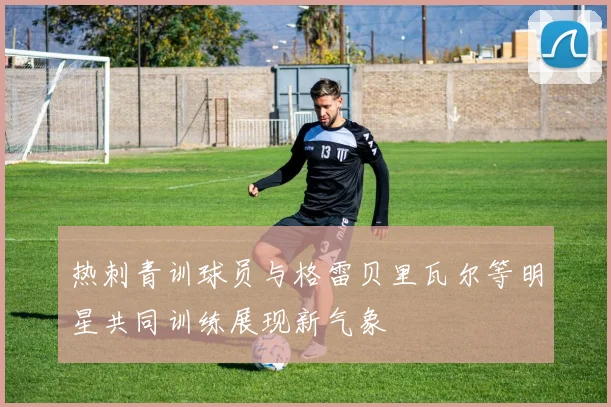 热刺青训球员与格雷贝里瓦尔等明星共同训练展现新气象